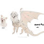 dog adopt
