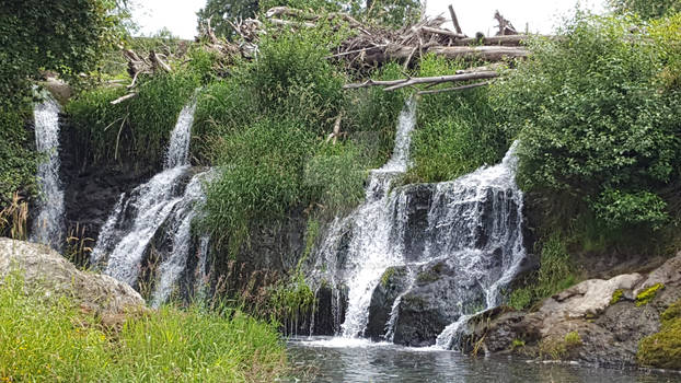 Tumwater Falls