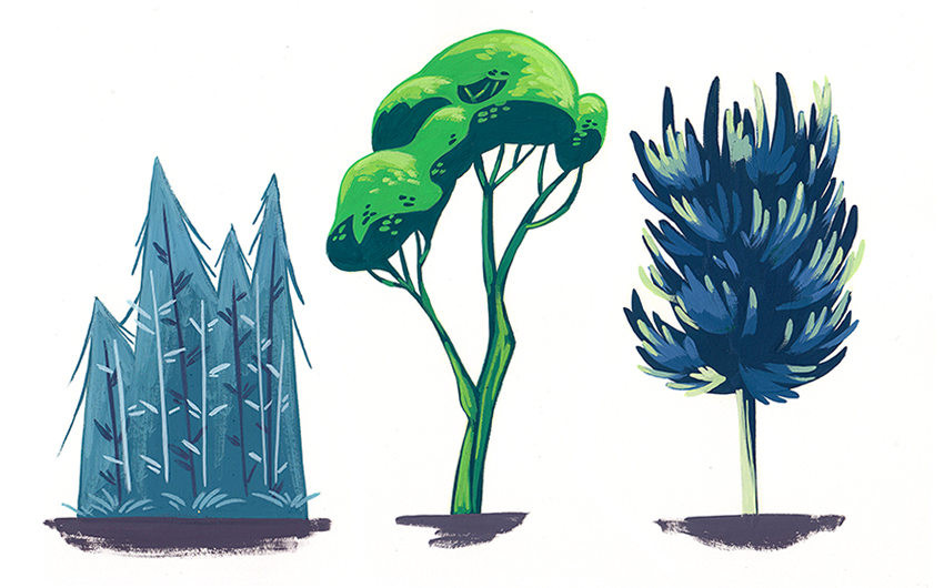 Trees study