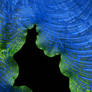 Untitled Fractal 2501c