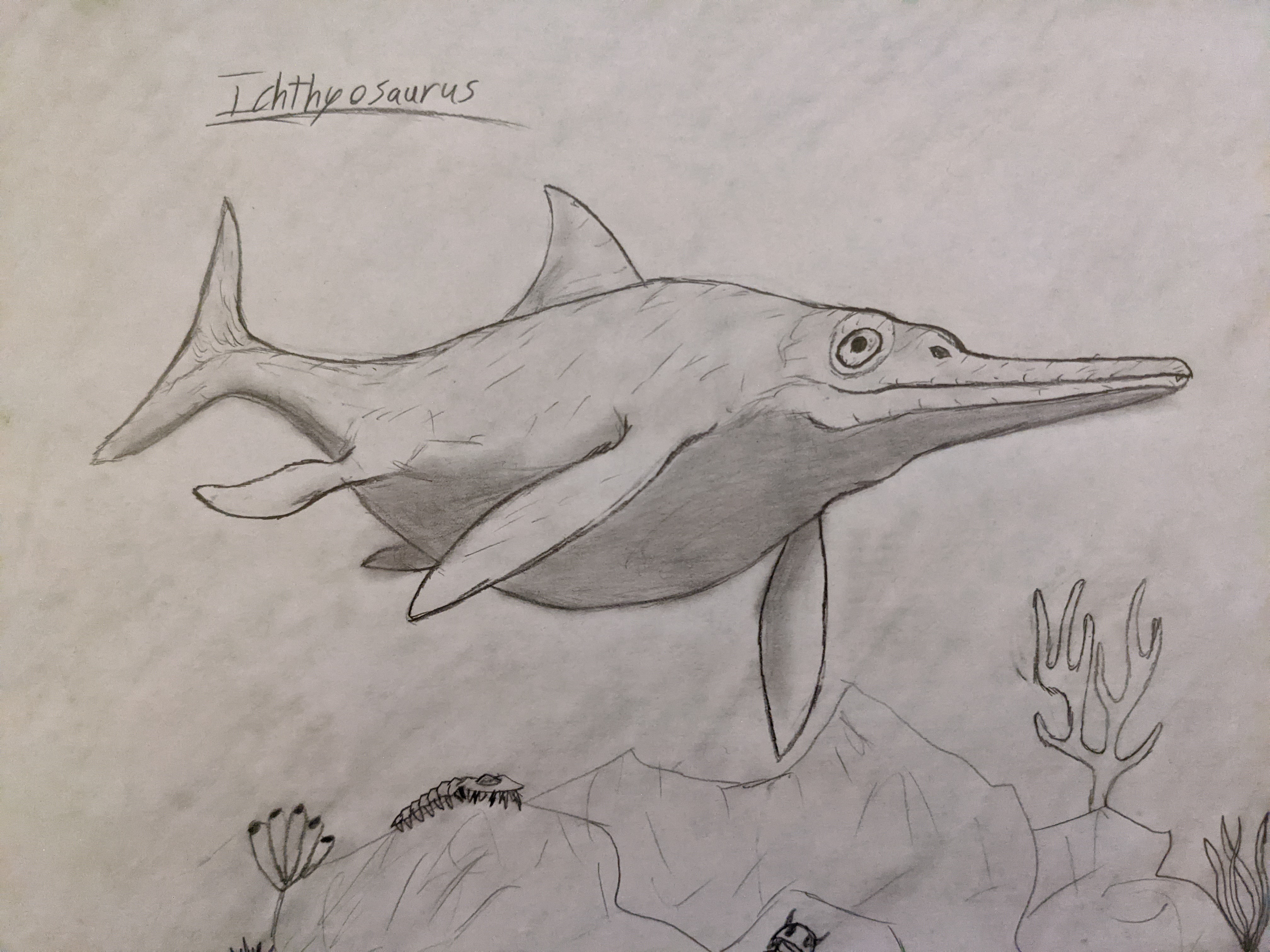 Ichthyosaurs Drawing Stenopterygius Quadriscissus Extinct Ichthyosaur ichthyosaurs-drawing-stenopterygius-quadriscissus-extinct-ichthyosaur