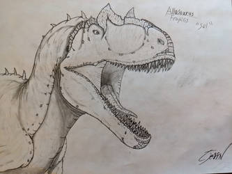 Allosaurus Fragilis 2