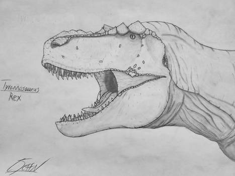 Tyrannosaurus Rex - 2024