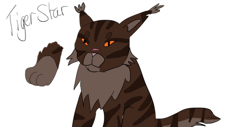 TigerStar