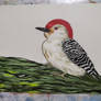 Woodpecker practice