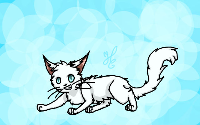Chat Blanc Aux Yeux Bleus By Coline25 On Deviantart Chat Blanc Aux Yeux Bleus By Coline25 On Deviantart