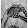 HARVEST MOUSE