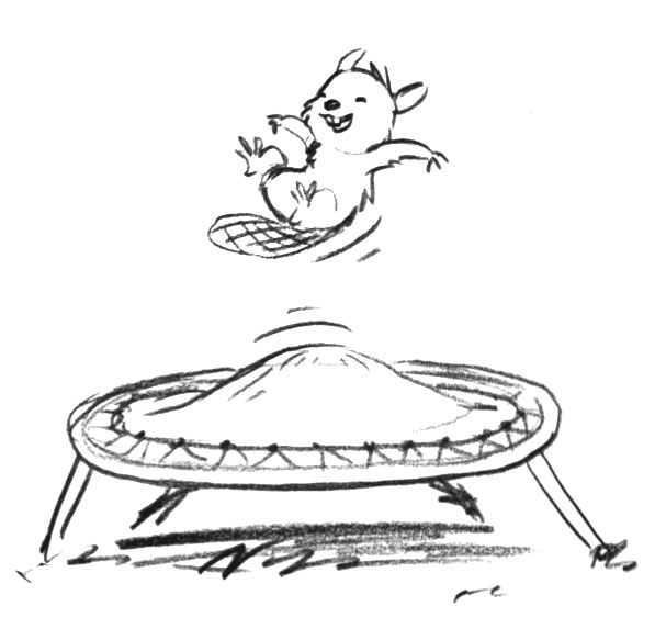 Trampoline Beaver