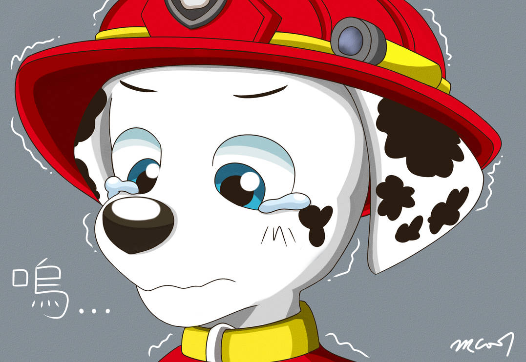 Рекс Paw Patrol