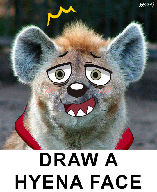 Haida by trc001 on DeviantArt