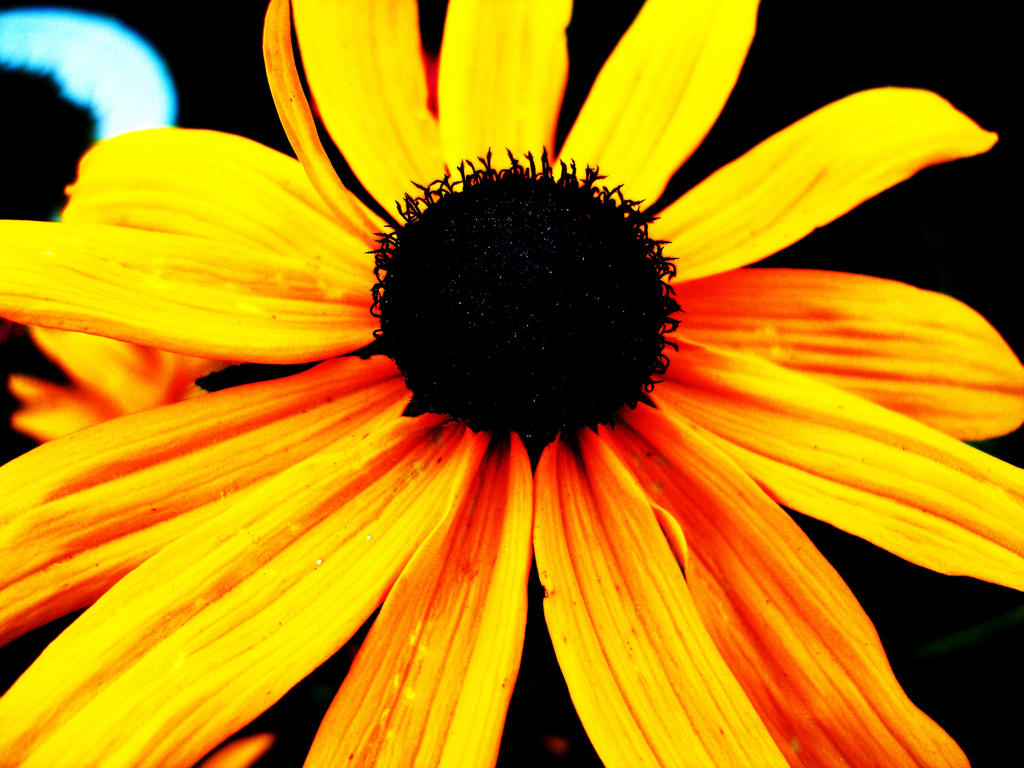 Sunrise by photographeye on DeviantArt