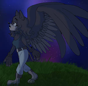 (redraw) midnight stroll