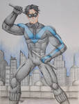 Nightwing by Freddy-Kun-11