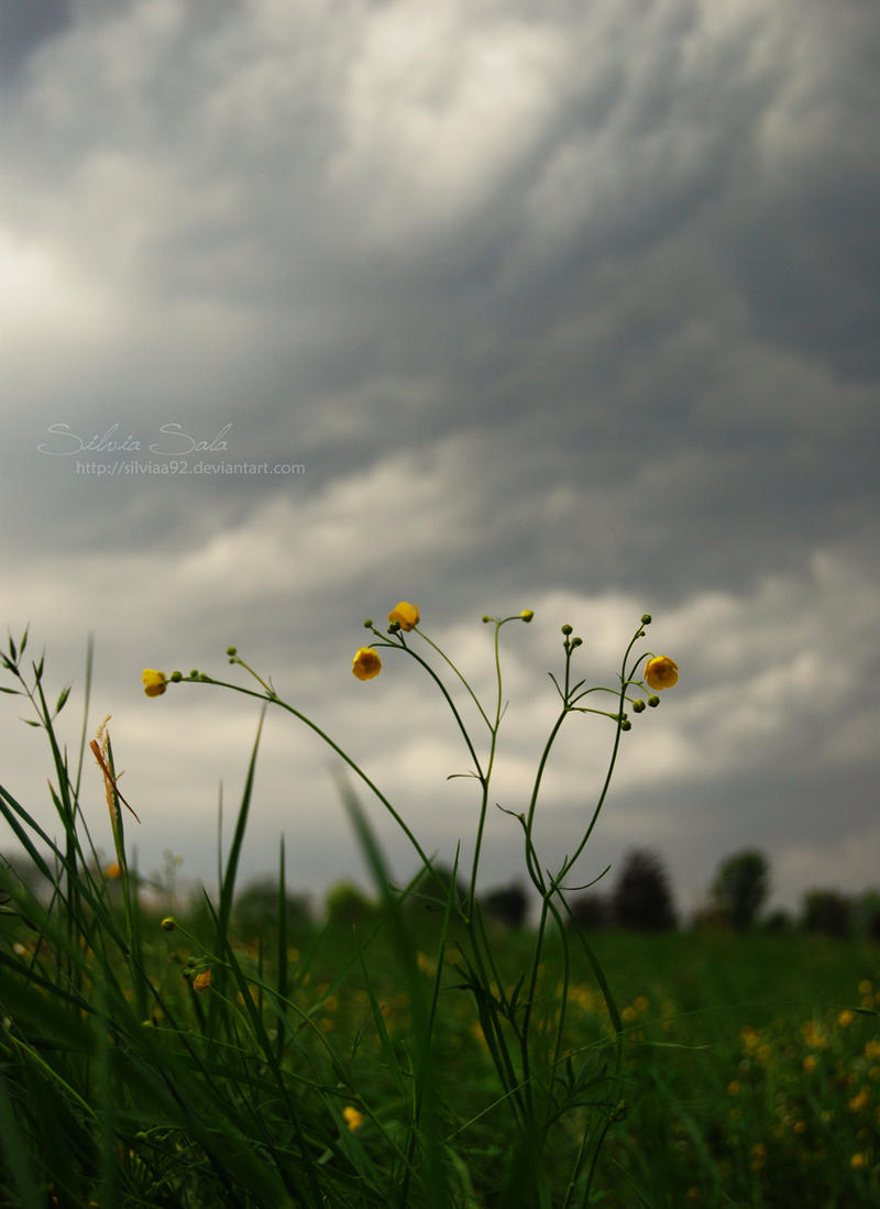 Il cielo ingombro, tragico