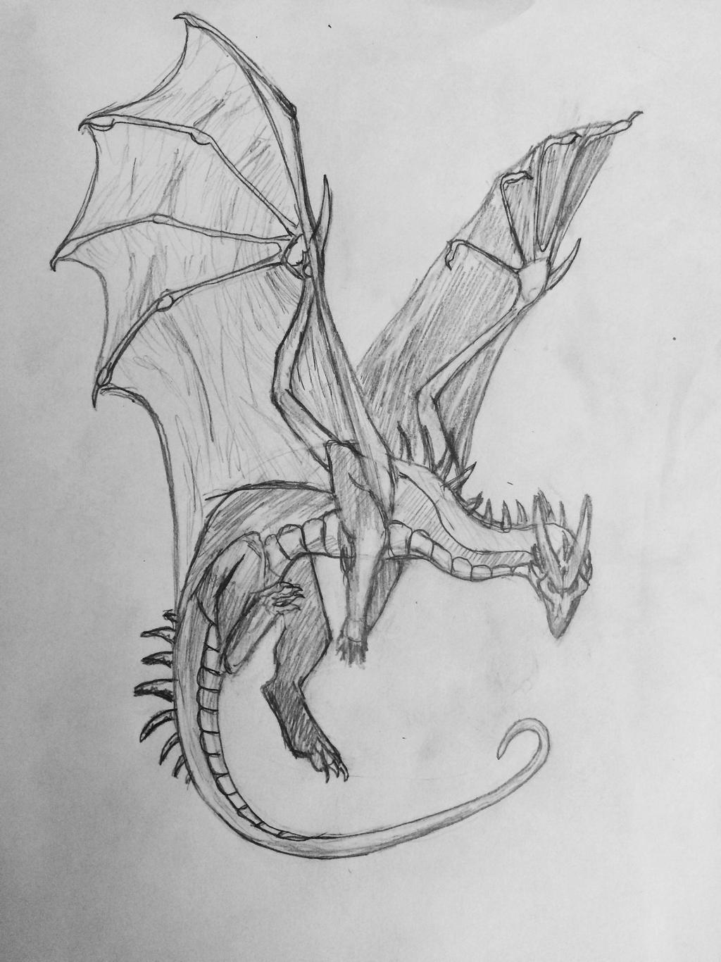 Dragon (basic) by rivainii on DeviantArt