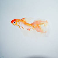 Fish Watercolor