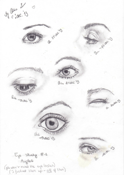 Eye study #1 December 2013