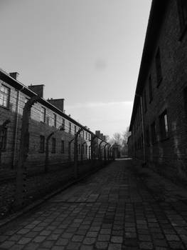 Auschwitz