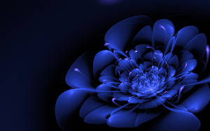 3d Bloom: Blue Midnight