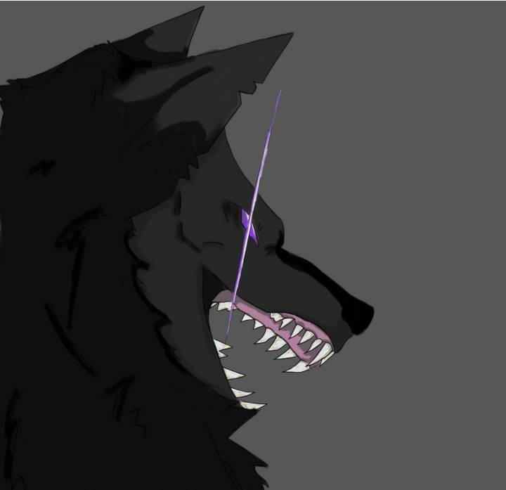 Woft Shadow Shadow by Wofie1920 on DeviantArt