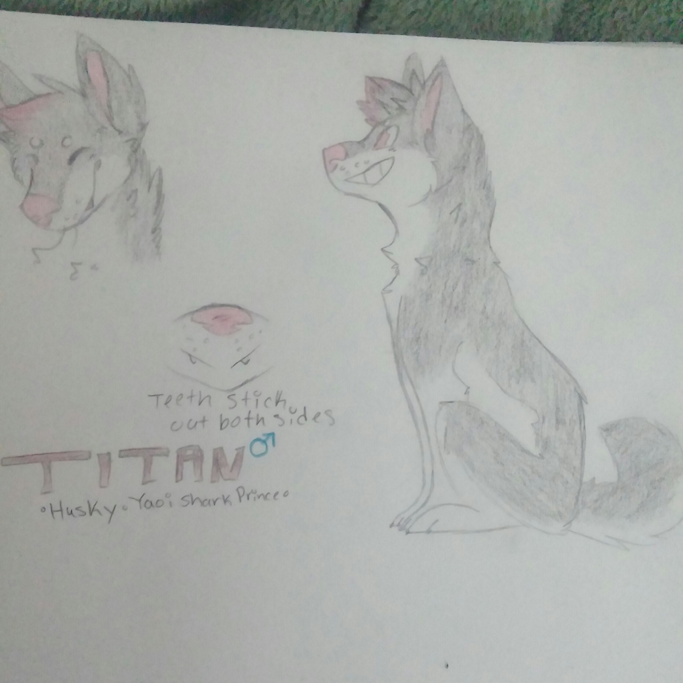 Titan Fursona