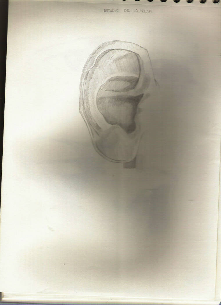 Ear study by Alltheprettyfaces94 on DeviantArt