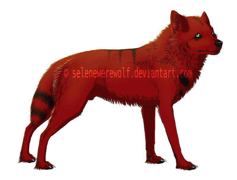 Cell shaded character by Mahlattu on DeviantArt