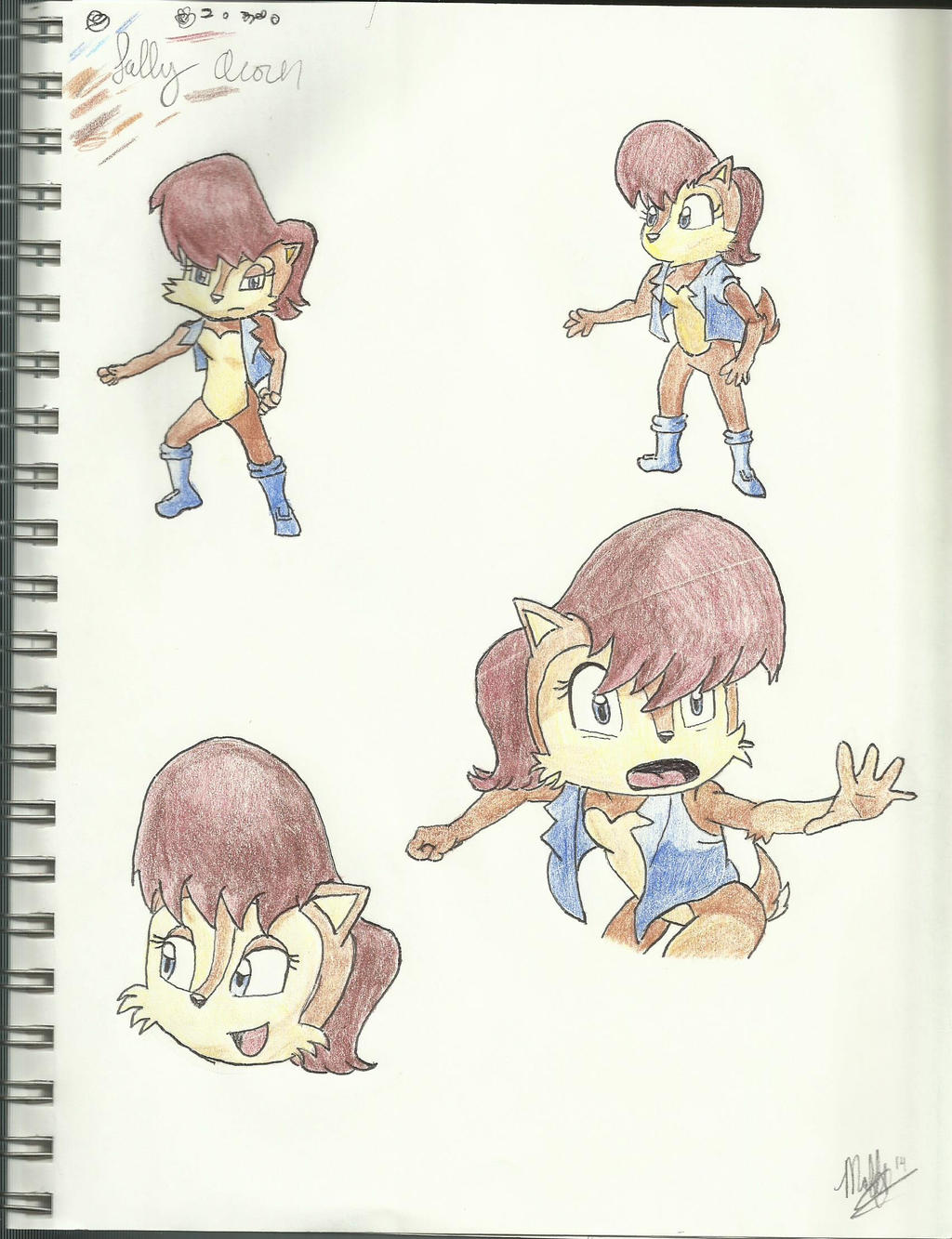 Sally Acorn Sketches.