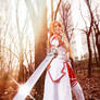 Asuna from Sword Art Online