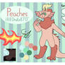 2020 Peaches Reference Sheet