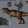 Carnivores T-Rex Study