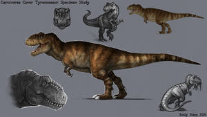 Carnivores T-Rex Study