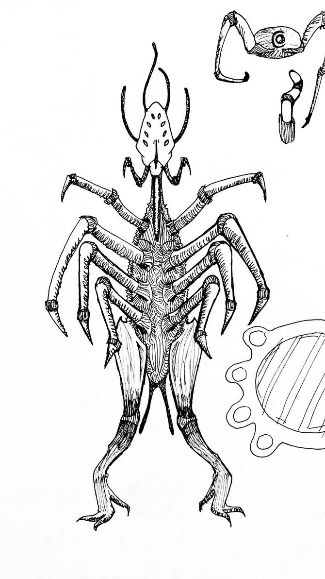 Bug Alien Sketch by PajkaPie on DeviantArt