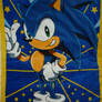 Sonic towel