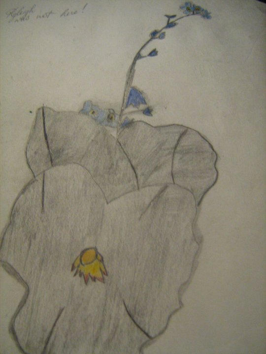 Georgia O'keefe Flower by Kenzie-Alexandria on DeviantArt