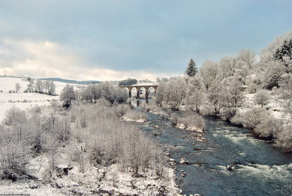 A Morning Snow