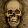 Skull Portrait 9-23-2012