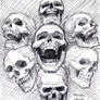 Skull Sketch 4-5-2014
