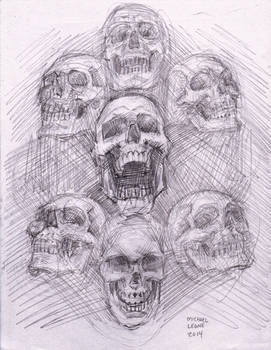 Skull Sketch April-june 2014