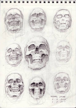 Skull study 2-3-2017