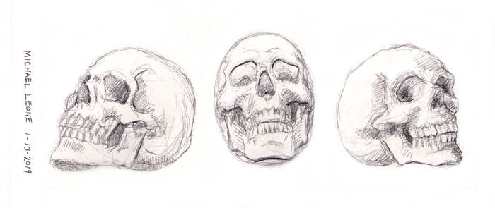 Skulls 1-13-2019 3