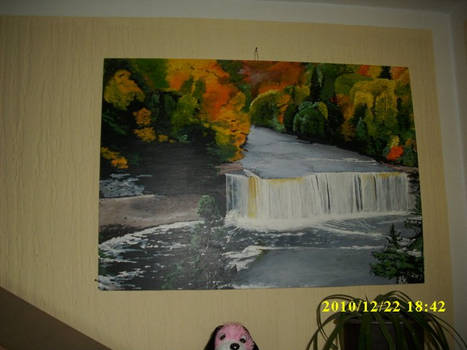 Waterfall by my husband
