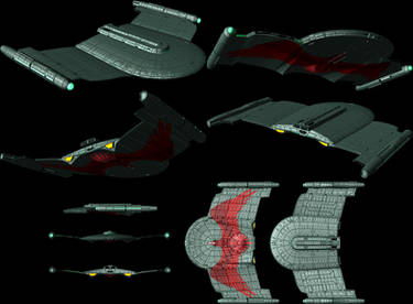 Romulan V-6 S'ten Vastam Cruiser Gallant Wing