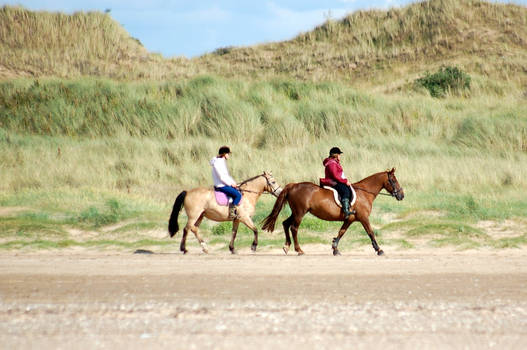 Horse Duo