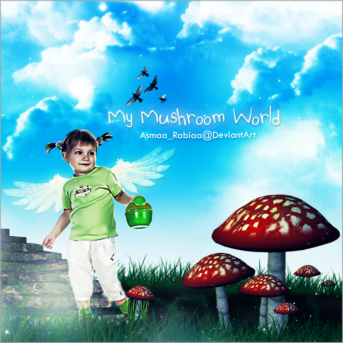My Mushroom World