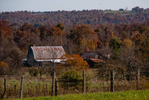 Homestead