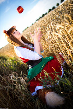 Spice and Wolf - Horo I