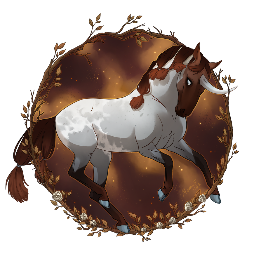 Cora by Memuii on DeviantArt