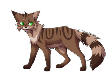 8. Crookedstar | 100 Warrior Cats Challenge