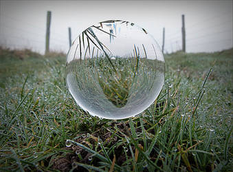 A sphere in morning dew